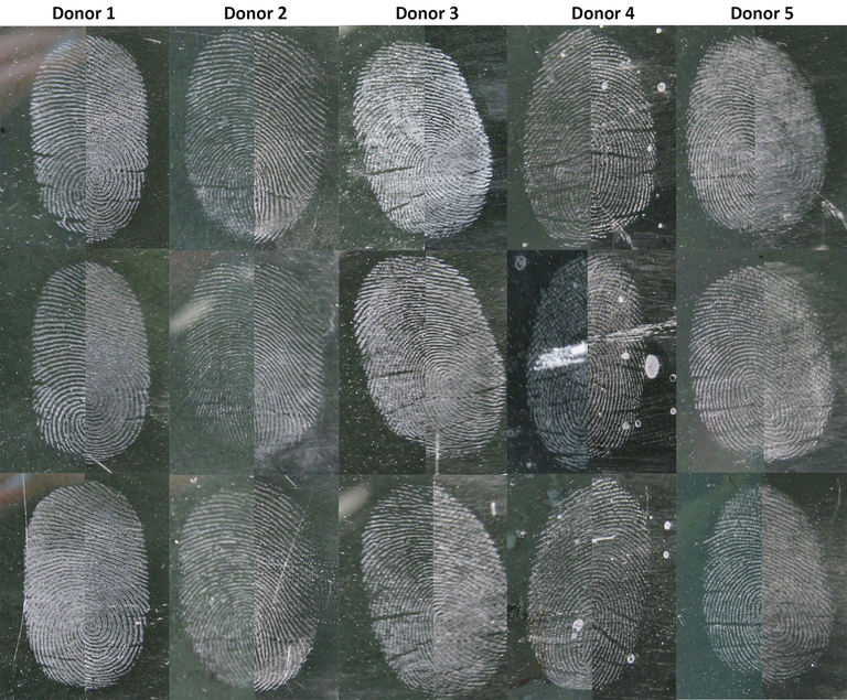 Natural latent fingermarks obtained from multiple donors developed using silica nanoparticle (left) and SIRCHIE white powder (right) on the black glass surface.