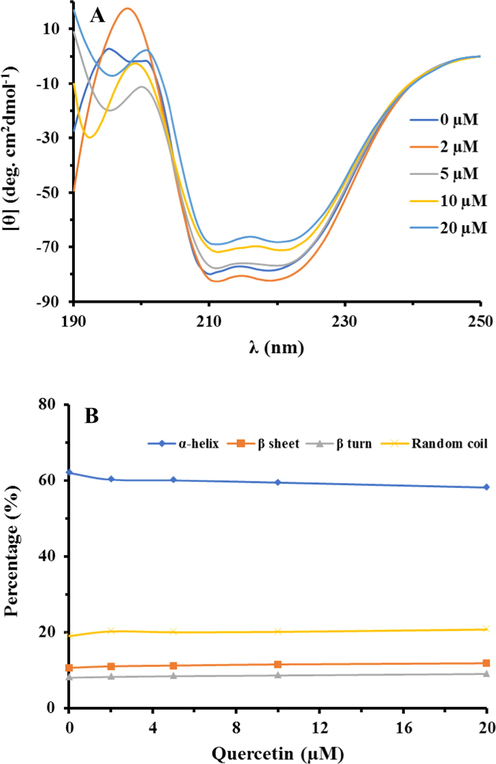 The CD spectra of HSA (A) and the content of the secondary structure of the HSA (B) in the presence of different concentrations of quercetin. This fata indicates that the quercetin stimulates a slight destabilization effect on the HSA structure.