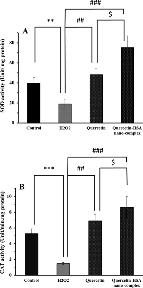 The SOD activity (A) and CAT activity (B) of spinal cord neurons in the presence of different treatments. *P < 0.05, relative to control cells, #P < 0.05, relative to H2O2-treated cells, $P < 0.05, relative to quercetin-treated cells.