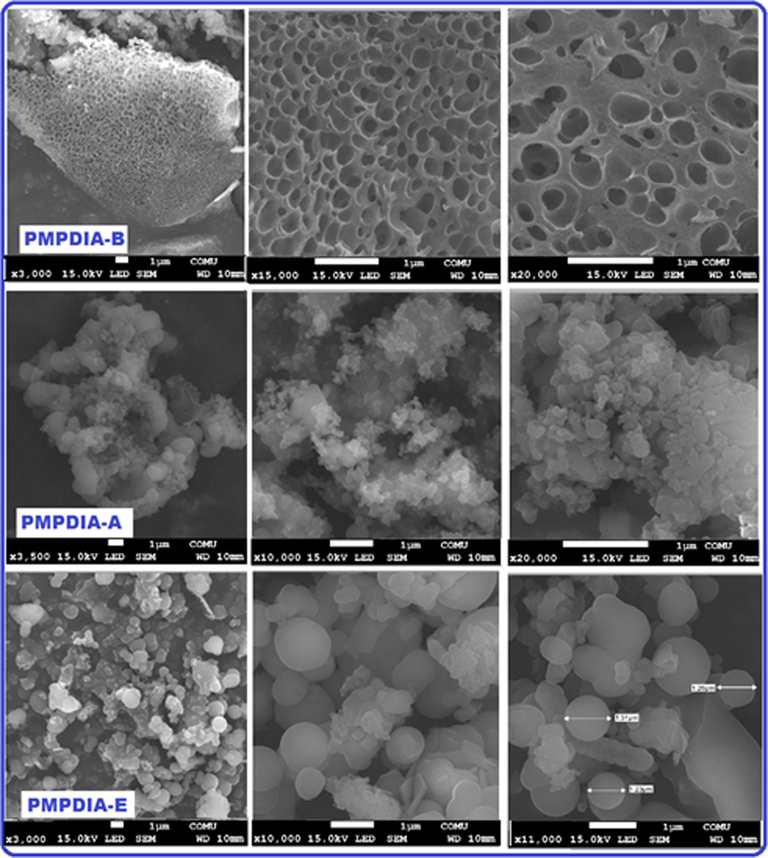 SEM images of PMPDIA-B, PMPDIA-A and PMPDIA-E.