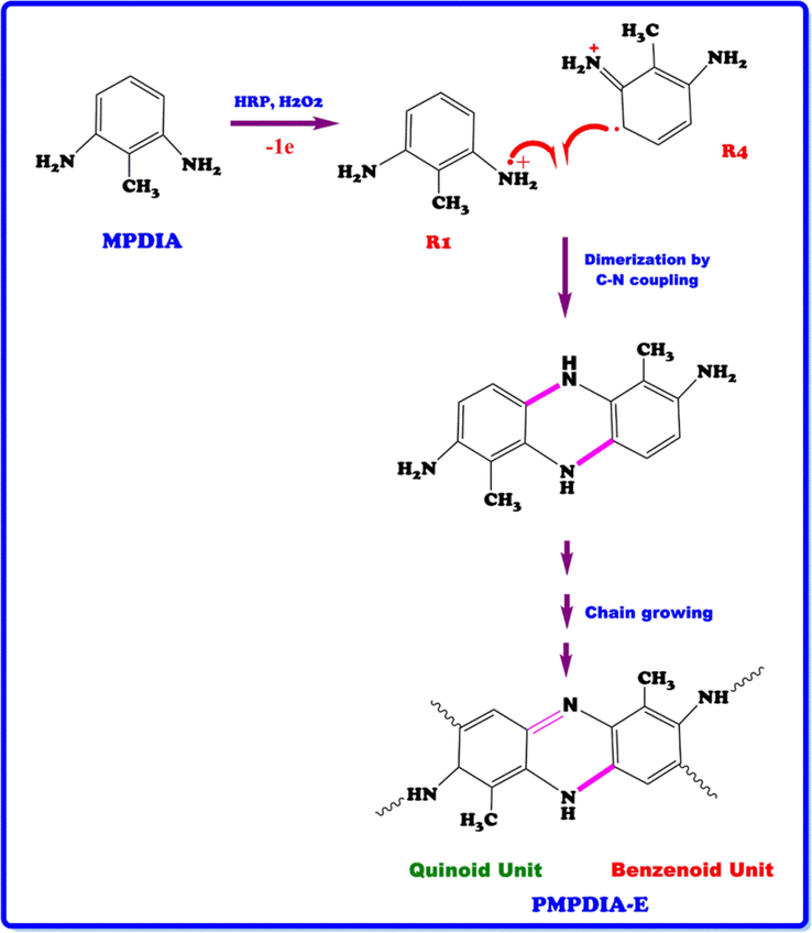 Synthesis of PMPDIA-E.