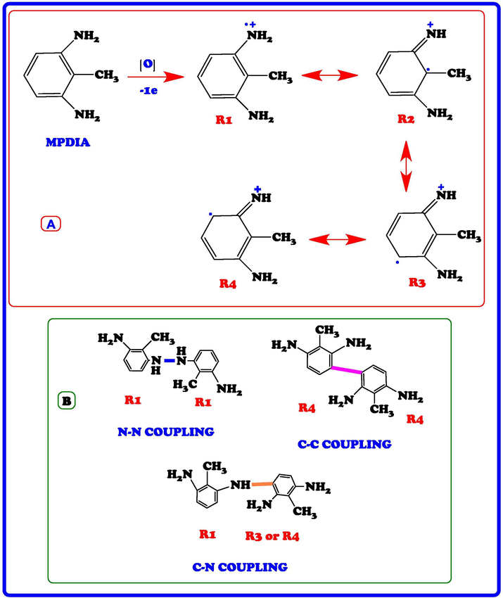 Possible resonance structures MPDIA (A) and different coupling states of radicals of MPDIA (B).