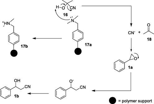 Plausible mechanism of β-hydroxynitrile formation.