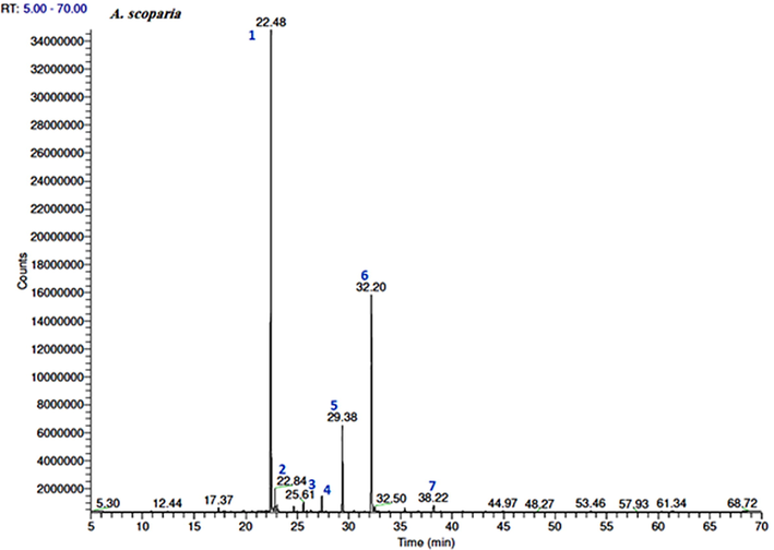 GC–FID chromatograms of the volatile compounds in the essential oil obtained from A. scoparia. The numbers represent the peaks of (1) 2-nonanone, (2) 2-nonanol, (3) camphor, (4) 2-decanone, (5) 2-nonanol acetate, (6) 2-undecanone, and (7) 2-acetoxyundecane.