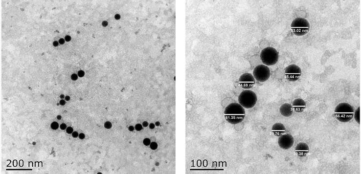 Transmission electron microscope (TEM) images of PEO nanoemulsion at 200 nm scale bar and 100 nm scale bar.