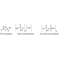 Article figure