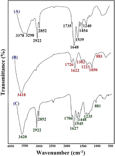 FTIR spectra of the CFYM (A), GO (B) and CFYM/GO (C) materials.