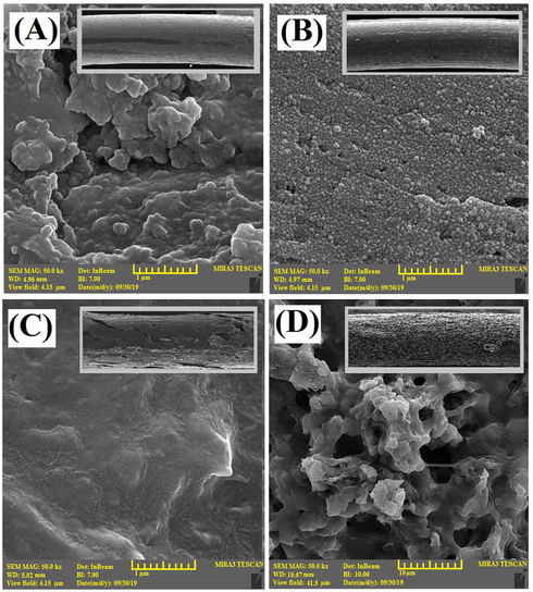 FESEM micrographs of the (A) CAC-SPME (MAG: 50,000×, Det: InBeam, WD: 4.96 mm and BI: 7.00), (B) chemically etched CAC-SPME (MAG: 50,000×, Det: InBeam, WD: 4.97 mm and BI: 7.00), (C) CAC-SPME/CFYM (MAG: 50,000×, Det: InBeam, WD: 5.02 mm and BI: 7.00) and (D) CAC-SPME/CFYM/GO (MAG: 5000×, Det: InBeam, WD: 10.67 mm and BI: 10.00)×) fibers.