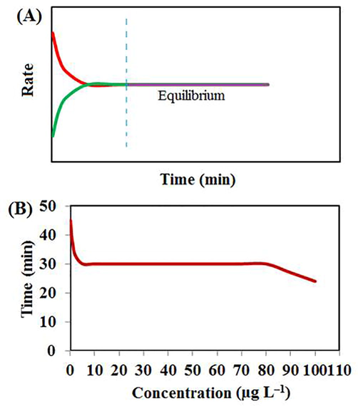 Schematic rate-time graph (A), the effect of changing concentrations on the extraction time equilibrium (B), (Other conditions: sample volume: 25 mL; desorption solvent: acetonitrile (2 mL); desorption time: 5 min; stirring rate: 200 rpm; kind of coating: CFYM/GO; etching reagent: HF; etching time: 10 min; CFYM/GO dispersion: 100 mg mL-1; CFYM/GO ratio: 80:20; desorption solvent: acetone; acetone volume: 1 mL, desorption time: 10 min; pH: without control and stirring rate of 400 rpm).