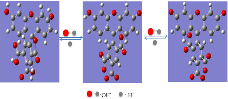 The influence of pH on fluorescein.