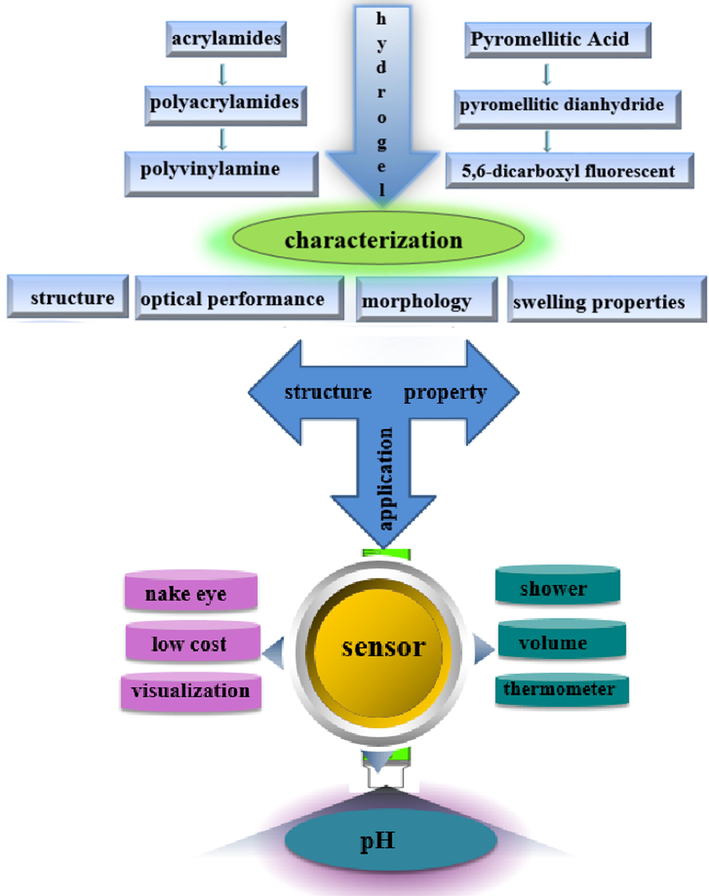 The design of the hydrogel sensor and application.