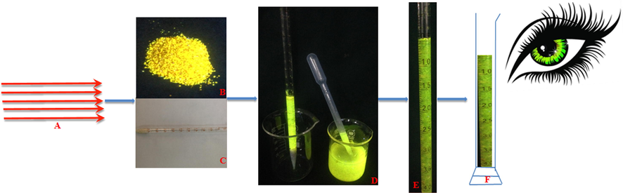 The fabrication of fluorescent hydrogels towards pH detection. (A, laser engraving; B, hydrogel under fluorescence; C, pipette with its end sealed with cotton; D, fully water-swelled hydrogel used to fill the pipette; E, full of hydrogel in pipette ; F, naked eye for readout).