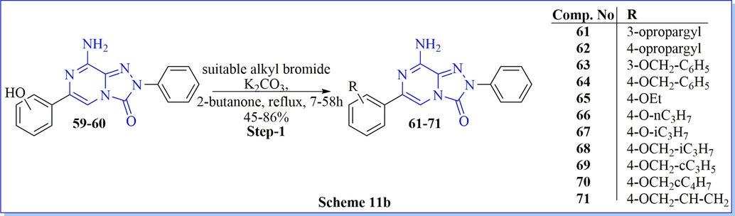 Synthesis of 8-amino-2,6-diphenyl-[1,2,4]triazolo[4,3-a]pyrazin-3(2H)-one derivatives.