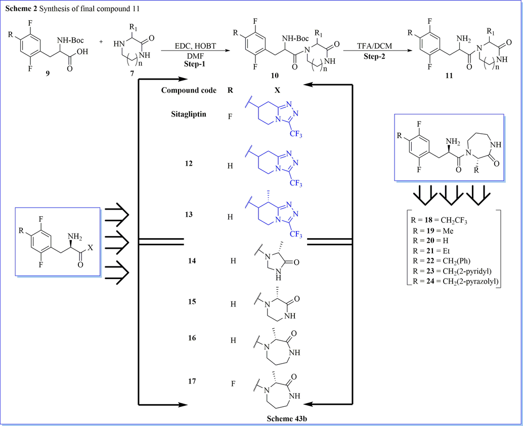 Synthesis of various derivative of diazepanone.