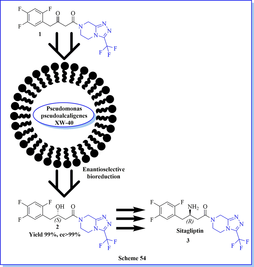 Microbial bio-reduction of (S)-3-hydroxy-1-(3-(trifluoromethyl)-5,6-dihydro[1,2,4]triazolo[4,3-a]pyrazin-7(8H)-yl]-4-(2,4,5-trifluorophenyl)butan-1-one(S)-1 using pseudomonas pseudoalcaligenes XW-40.