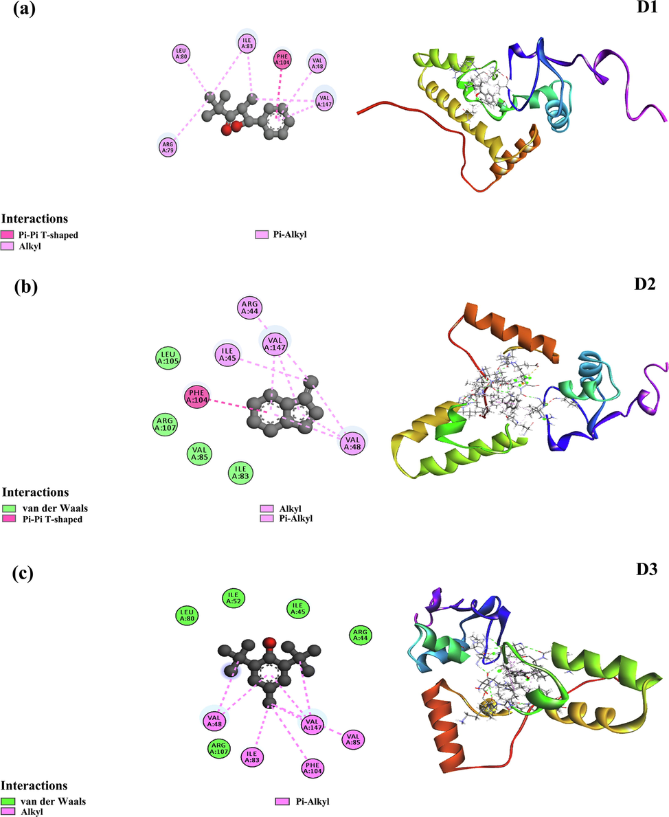 The top binding pose obtained by molecular docking simulation both in 2D binding pose and 3D docked pose of the D1, D2 and D3 complex (a,b,c). Residues involved in interactions with van der Waals, alkyl, Pi-alkyl, and Pi-Pi T-shaped are illustrated in various colors shown in the inset.