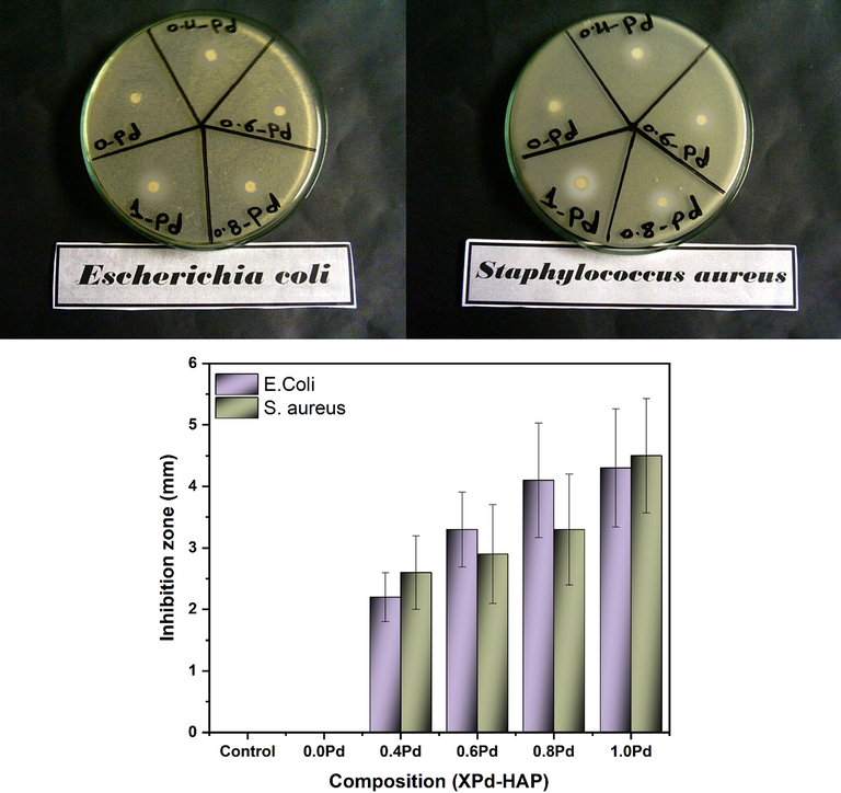 Antibacterial behavior of Pd-HAP against E. coli and S. aureus.