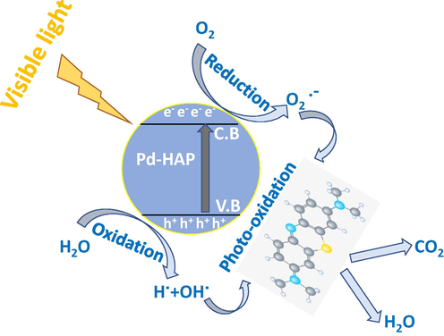 Schematic diagram of photocatalysis process to degrade MB via Pd-HAP compositions.