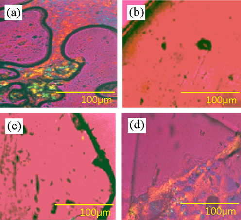 Polarized light microscopy images of the complexes: (a) crystalline Y(oct-ala)3·2H2O; (b) glassy Y(oct-ala)3·0.5H2O; (c) glassy Y(hex-ala)3·0.5H2O; (d) crystalline Y(dod-ala)3·0.5H2O.