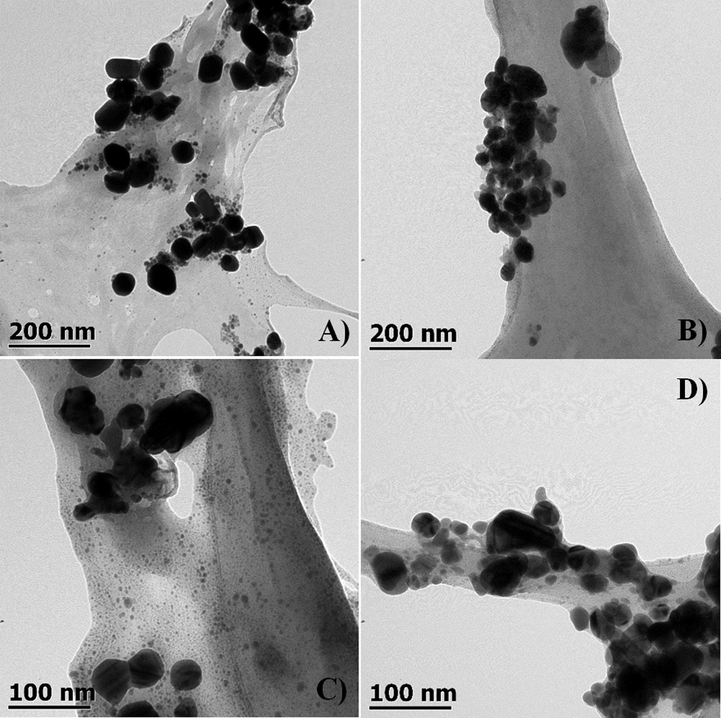 Transmission electron microscope (TEM) micrographs of silver nanoparticles synthesized at 80 °C during 135 min of reaction using: (A) A. niger extract (B) B. megateriums extract, (C) Opuntia ficus-indica mucilage extract, (D) sodium citrate at 2.8 mM as reducing and stabilizing agent.