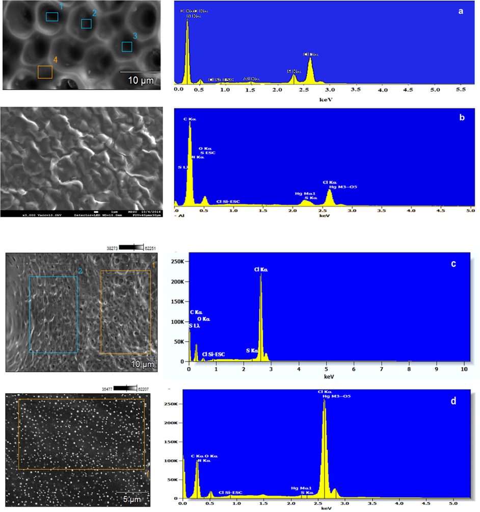 SEM micrographs coupled with EDX spectra of control membranes (a) & (d) and membranes used for sensing Hg(II) as nitrate salts in water (b). Aluminium peak (Al) in the spectra referred to the aluminium stub used for samples’ mounting.