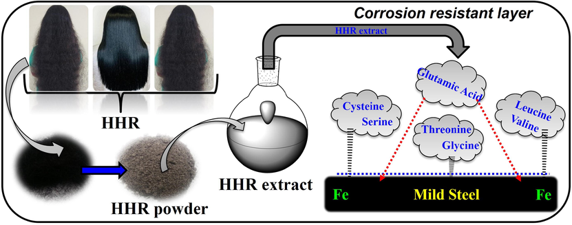 Schematic diagram and possible mechanism of corrosion inhibition with HHR.