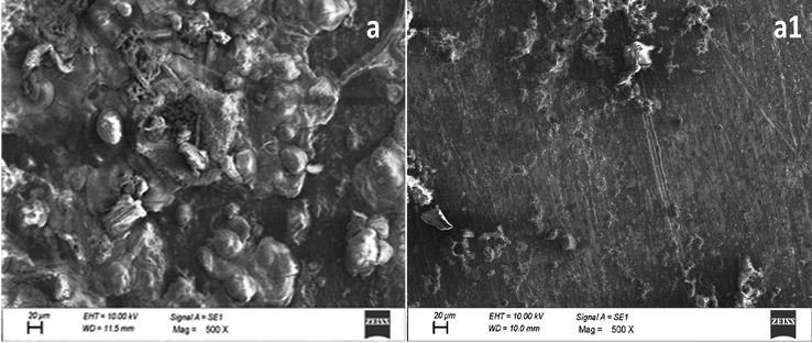 SEM images of mild steel in 1 mol/L HCl in the absence (a) and presence of 100 ppm of HHR (a1).