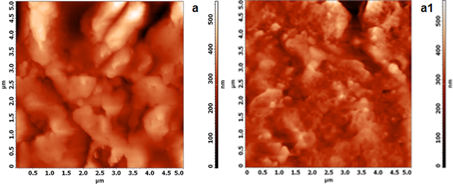 AFM surface topography of mild steel in 1 mol/L HCl in the absence (a) and presence of 100 ppm of HHR (a1).