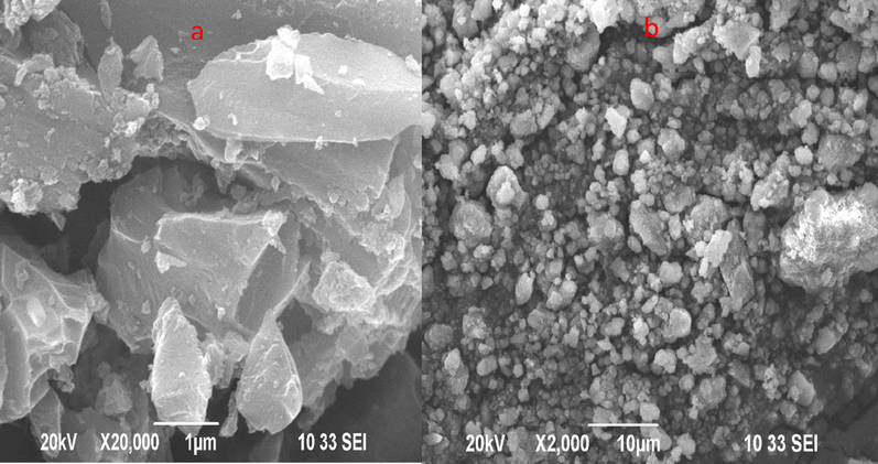 FESEM images Egg shell based activated carbon (a’), NaOH (b), H3PO4.