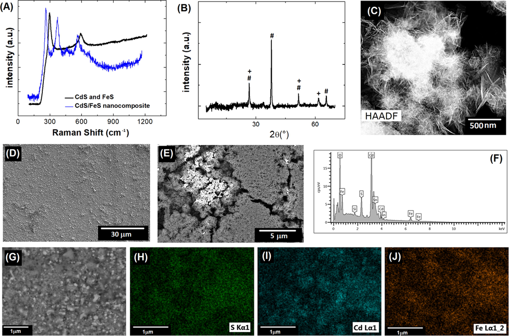 (A) Raman spectra, (B) XRD patterns of CdS/FeS nancomposite, CdS (#) and FeS (+), (C) HR-TEM CdS/FeS nanocomposite, (D), (E) FESEM images with different magnification scales of CdS/FeS, (F)-(J) FESEM-EDS analysis of CdS/FeS for: (H)sulphur (green dots), (I) cadmium (blue dots) and (J) ferrous (orange dots) elements.