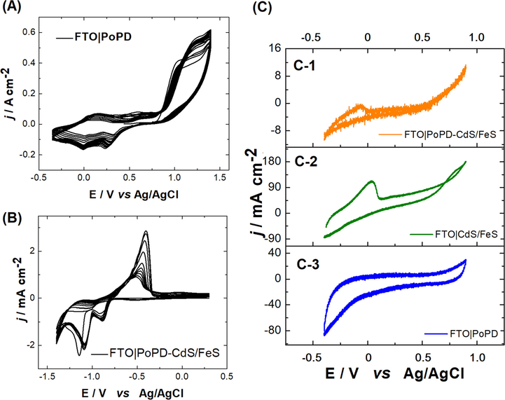 (A) Voltammetric profiles of PoPD. Interfaces: FTO|0.01 M oPD + 2 M H2SO4 /CH3CN (1:4 ratio % v/v) mixture, ν = 50 mV s−1. (B) Voltammetric profiles during CdS/FeS electro-obtainment on PoPD. Interfaces: FTO-PoPD|25 mL (salt dissolution) in 100 mL H2O milli-Q, ν = 50 mV s−1. (C) PoPD-CdS/FeS (C-1), CdS/FeS (C-2) and PoPD (C-3) responses in 0.01 M TBA PF6 in CH3CN. ν = 100 mV s−1.