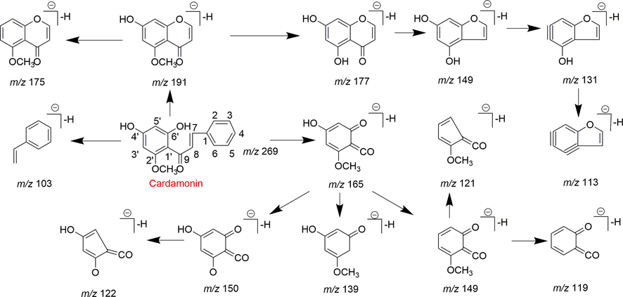 The proposed fragmentation behaviors of cardamonin in negative ion mode.