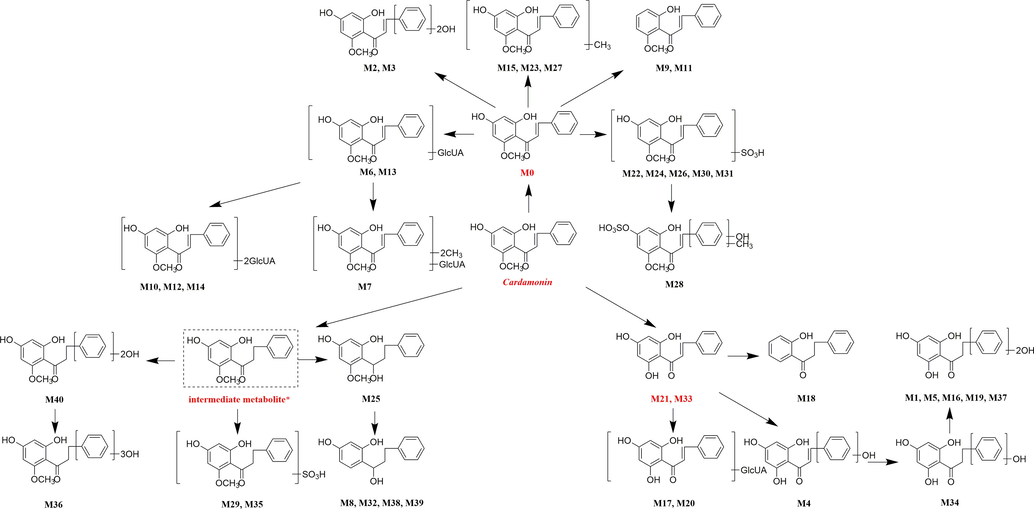 The proposed metabolic pathways of cardamonin in rat.