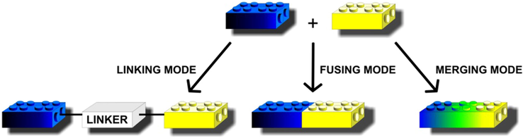 Design strategy for hybrid compounds.