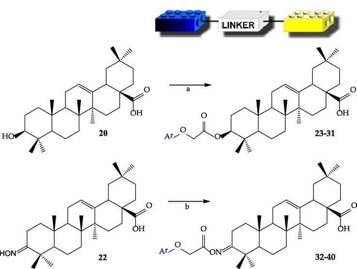 The main chemical pathways of linked hybrids synthesis: a) ester-type hybrids: selected phenoxyacetic acid derivatives (11–19), DCC, DMAP, anhyd. CH2Cl2, rt; b) iminoester-type hybrid: selected phenoxyacetic acid derivatives (11–19), DCC, anhyd. CH2Cl2, rt.