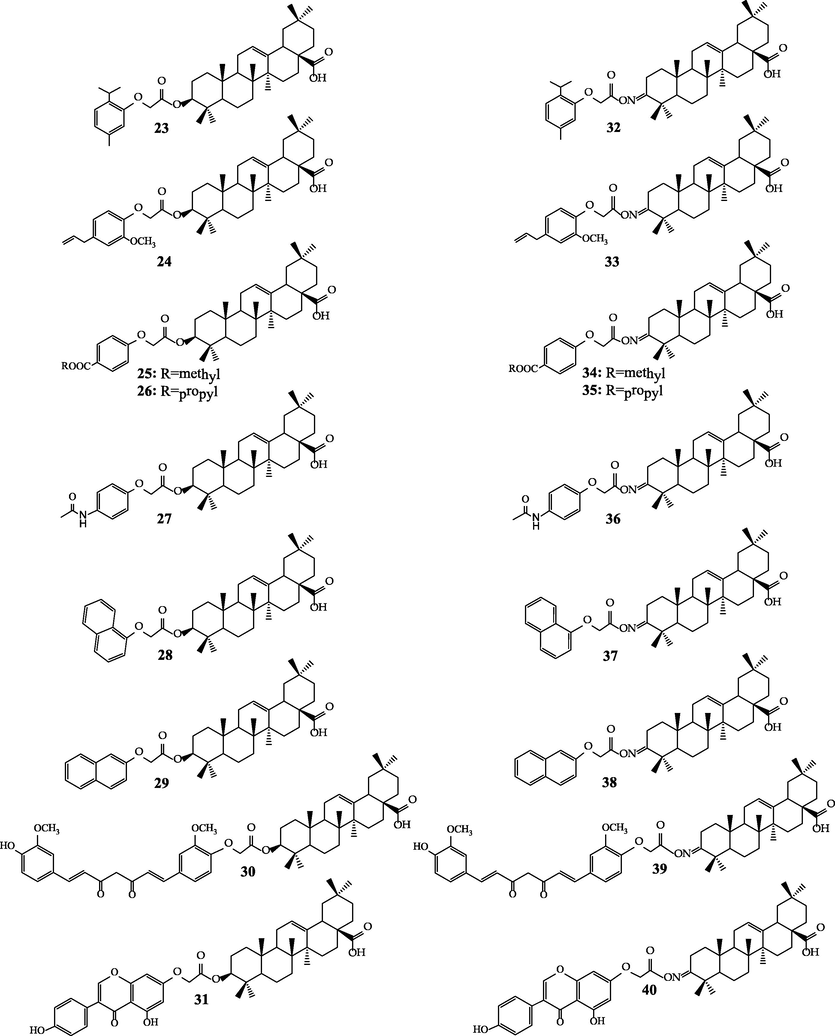 Final formulas of the linked triterpene-monophenol hybrids.