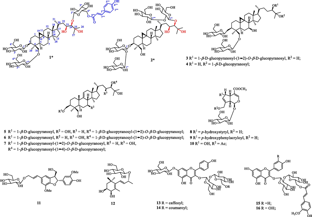 Chemical structures of compounds 1–16. New compounds 1 and 2 are assigned by asterisks (*).