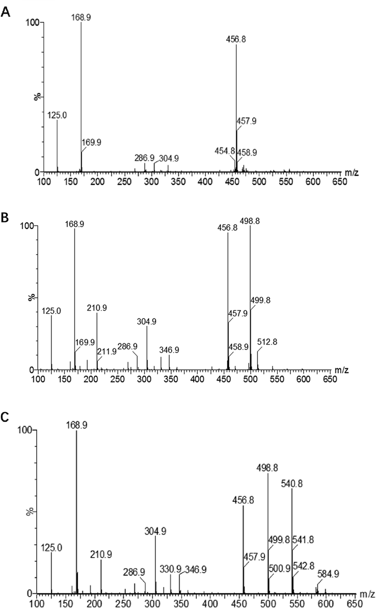 Mass spectra of fraction 1(A) , fraction 2 (B) and fraction 3(C).