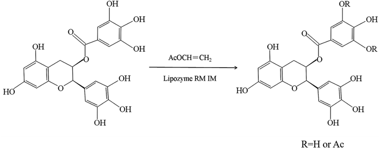 The reaction scheme of EGCG acetylated derivatives by lipase-catalyzed transesterifications.