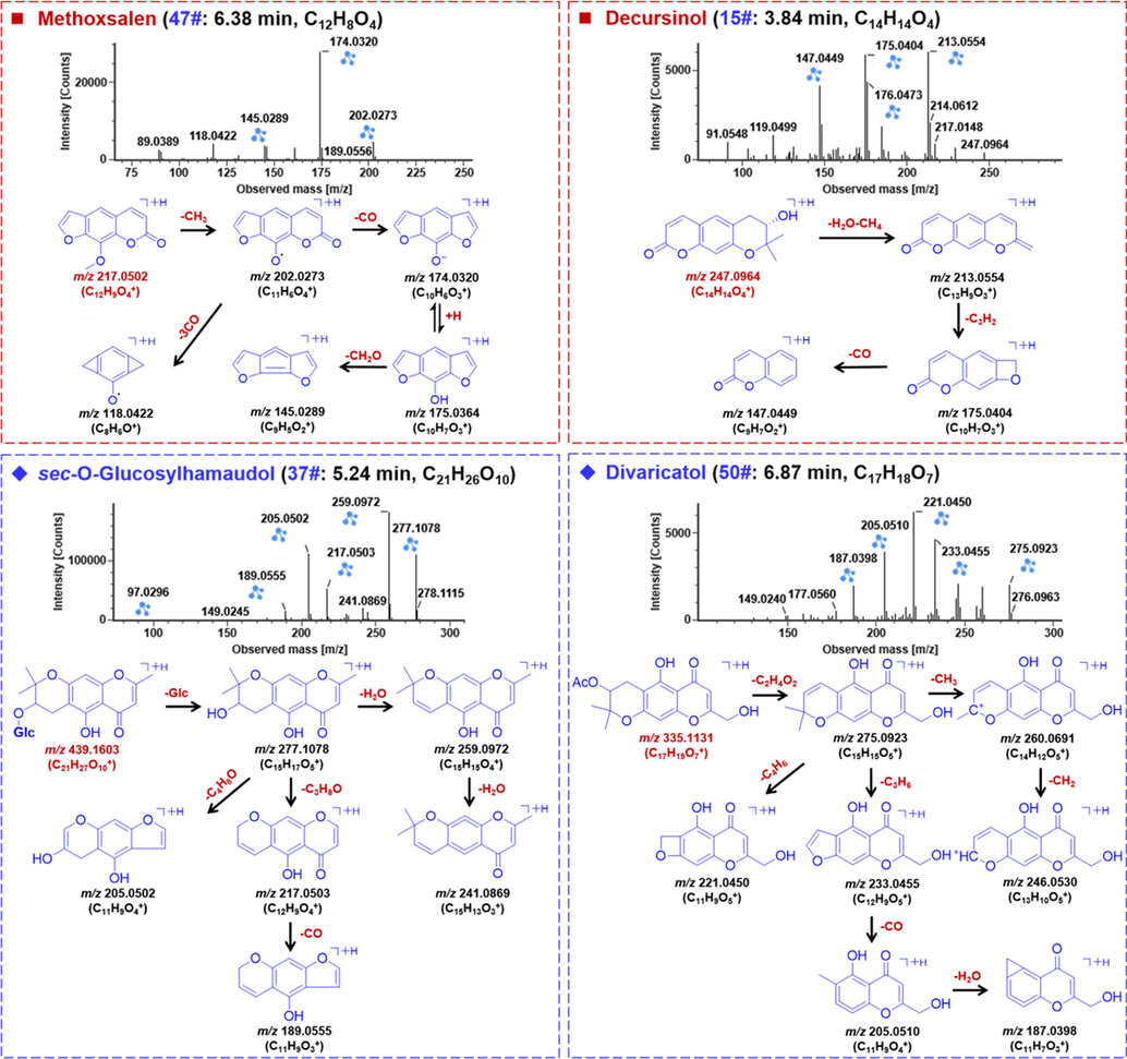 The positive CID-MS2 spectra and proposed fragmentation pathways for representative compounds of coumarins and chromones from Saposhnikoviae Radix.