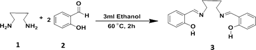 Schematic representation for the synthesis of Schiff base, C3 (3).