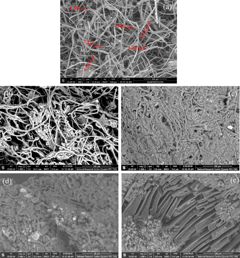 SEM for: (a) bleached rice straw pulp (800x); (b) MCC (1000x); (c)NCC (1000x); (d) NMC (2000x); and (e) CMC (1000x).