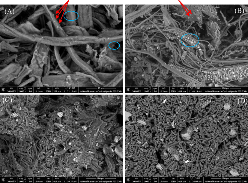 SEM for drug loaded samples; (A) MCC-GM, (B) NCC-GM, (C) MC-GM and (D) CMC-GM.