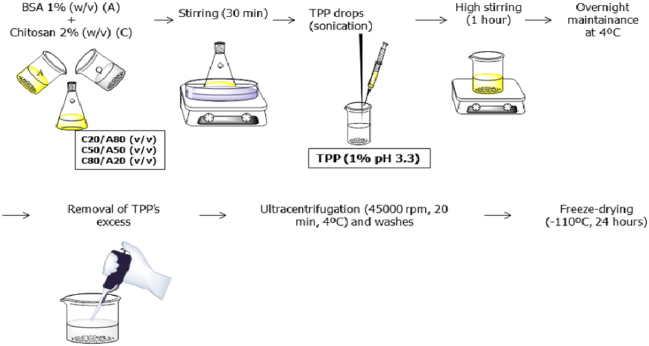 Schematic representation of the synthesis of chitosan-BSA based nanoparticles (Montero et al., 2019).