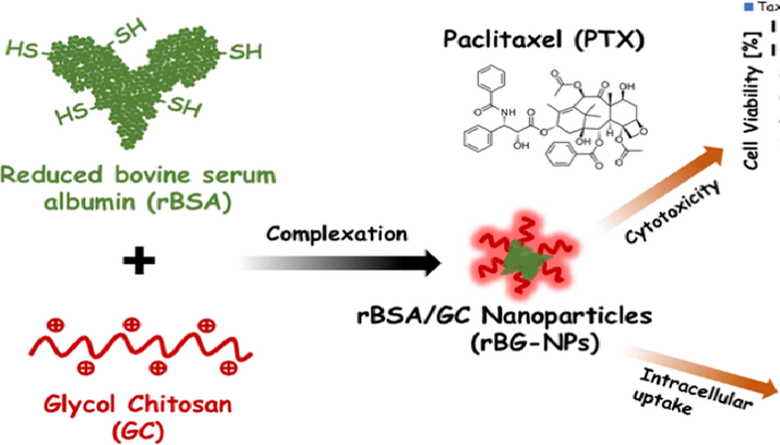 Formation of stable nanoparticles with biological components for encapsulation and cellular delivery of PTX (Razi et al., 2019).