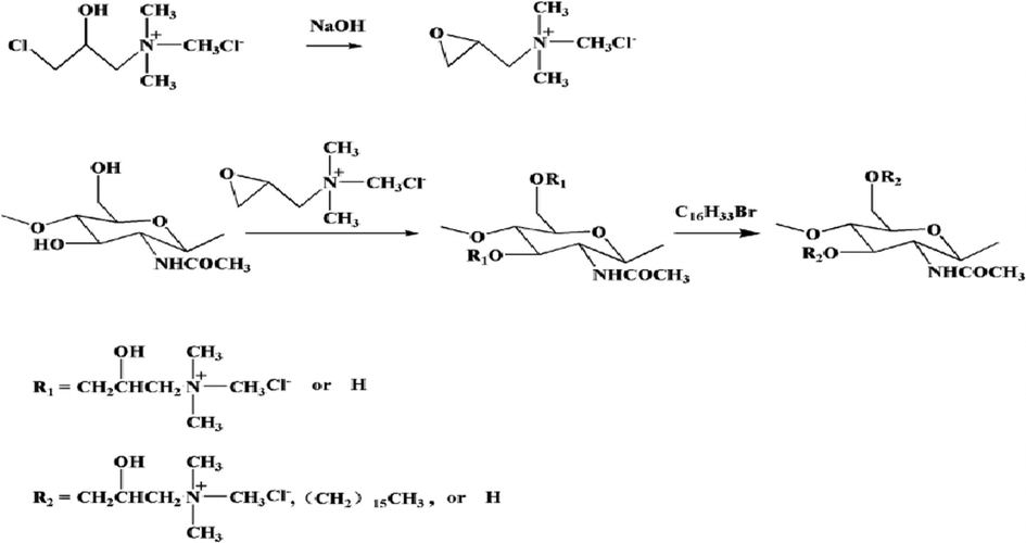 The pathway for the synthesis of amphiphilic chitin (Zeng et al., 2020).