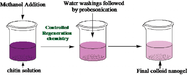 Synthesis route for the chitin nanogels (CNGs) by controlled regeneration chemistry (Rejinold et al., 2011).