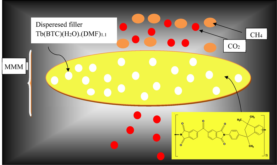 Graphical Abstract representing selective transport of CO2 through the MMM.