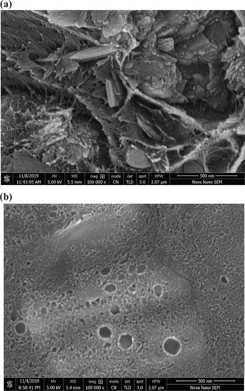 Cross sectional SEM images of 10 wt% MMM with 500 nm resolution (a) SEM images of surface of 10 wt% MMM with 500 nm resolution (b).