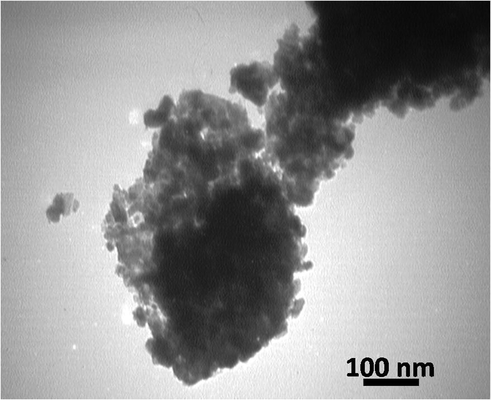 The TEM image of the synthesized NiFe2O4@SiO2nPr@amino glucose.